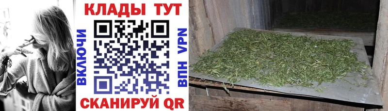 Где найти наркотики Алексин МАРИХУАНА А ПВП MEGA как войти Меф мяу мяу Гашиш