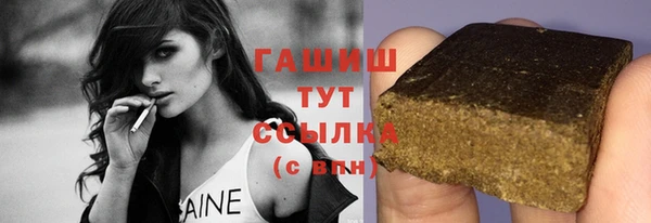 гашик Алексин