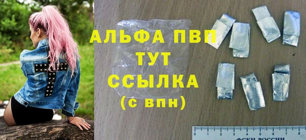 гашик Алексин