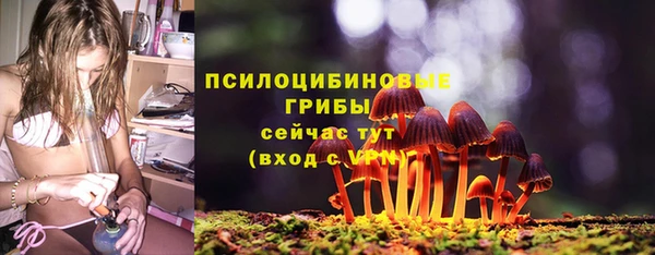 твердый Алексеевка