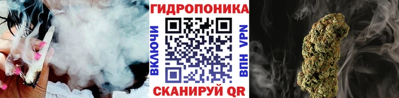 где купить наркотик  МЕГА как зайти  Шишки марихуана LSD WEED  Алексин 